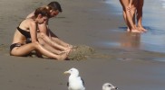 IMG_0586