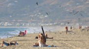 IMG_6338