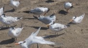 IMG_0765