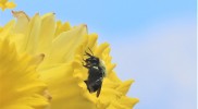IMG_1809