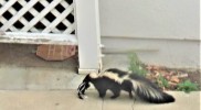 IMG_1844r