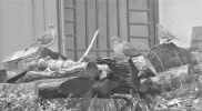 IMG_4629