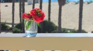 red-camilla-rail-santa-barbara