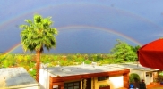 rainbow - studio city 2.23.15