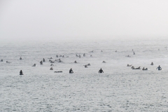 IMG_3319