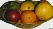 fruit-in-basket